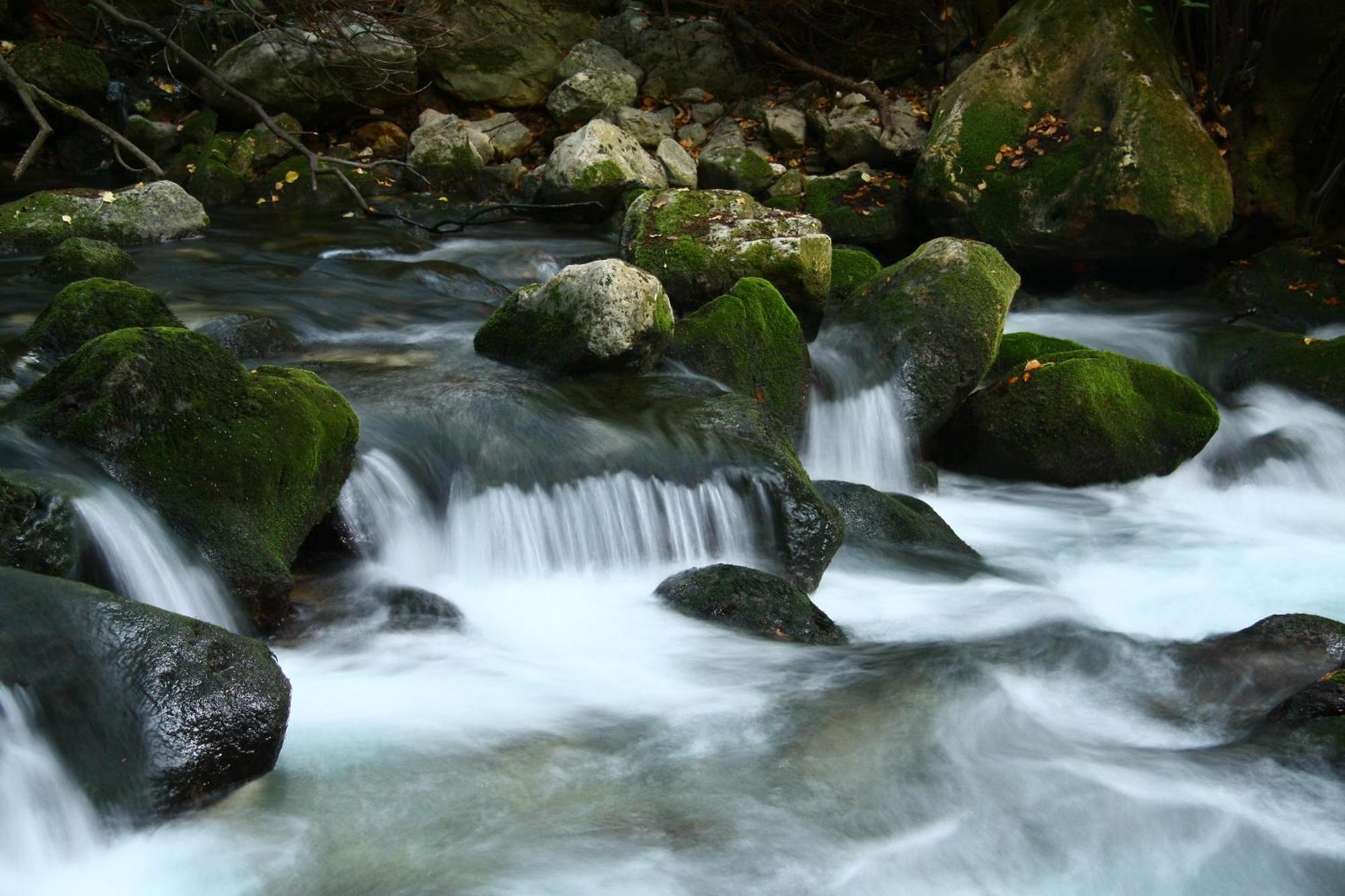 Pansion Lovac Otel Cavtat Dış mekan fotoğraf